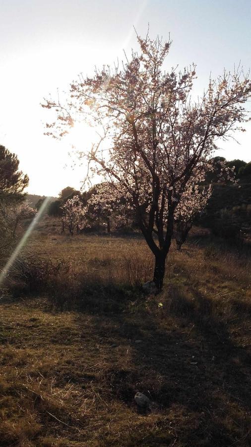 Casa Rural Con Jacuzzi La Parrilla  Zewnętrze zdjęcie